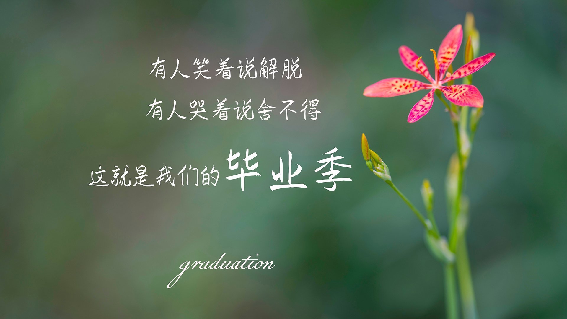 【科技裁判】裁判用高科技守护比赛公正,效果显著?,科技运动会裁判员宣誓