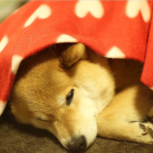 史上最“突破”得分纪录,谁能挑战?,突破速度最快的球员