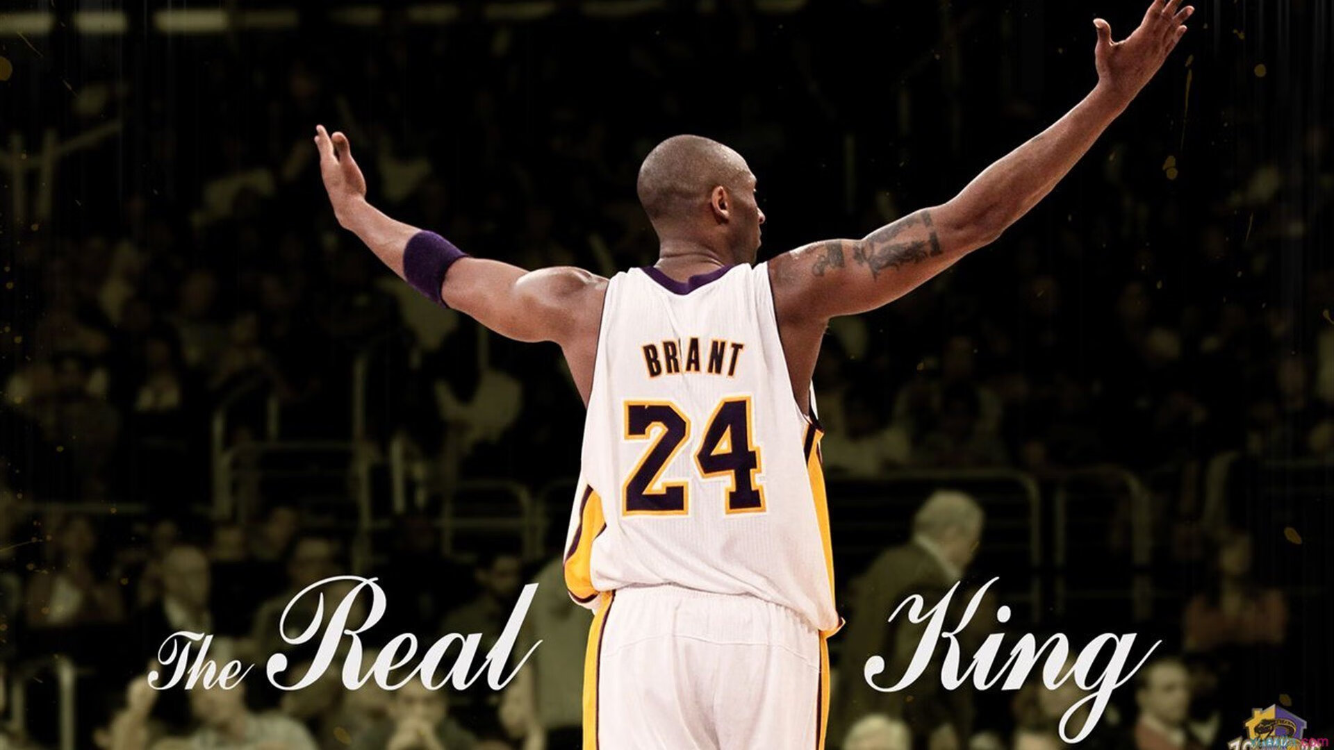 湖人安排战术测试营检验球员临场决策，湖人全队训练