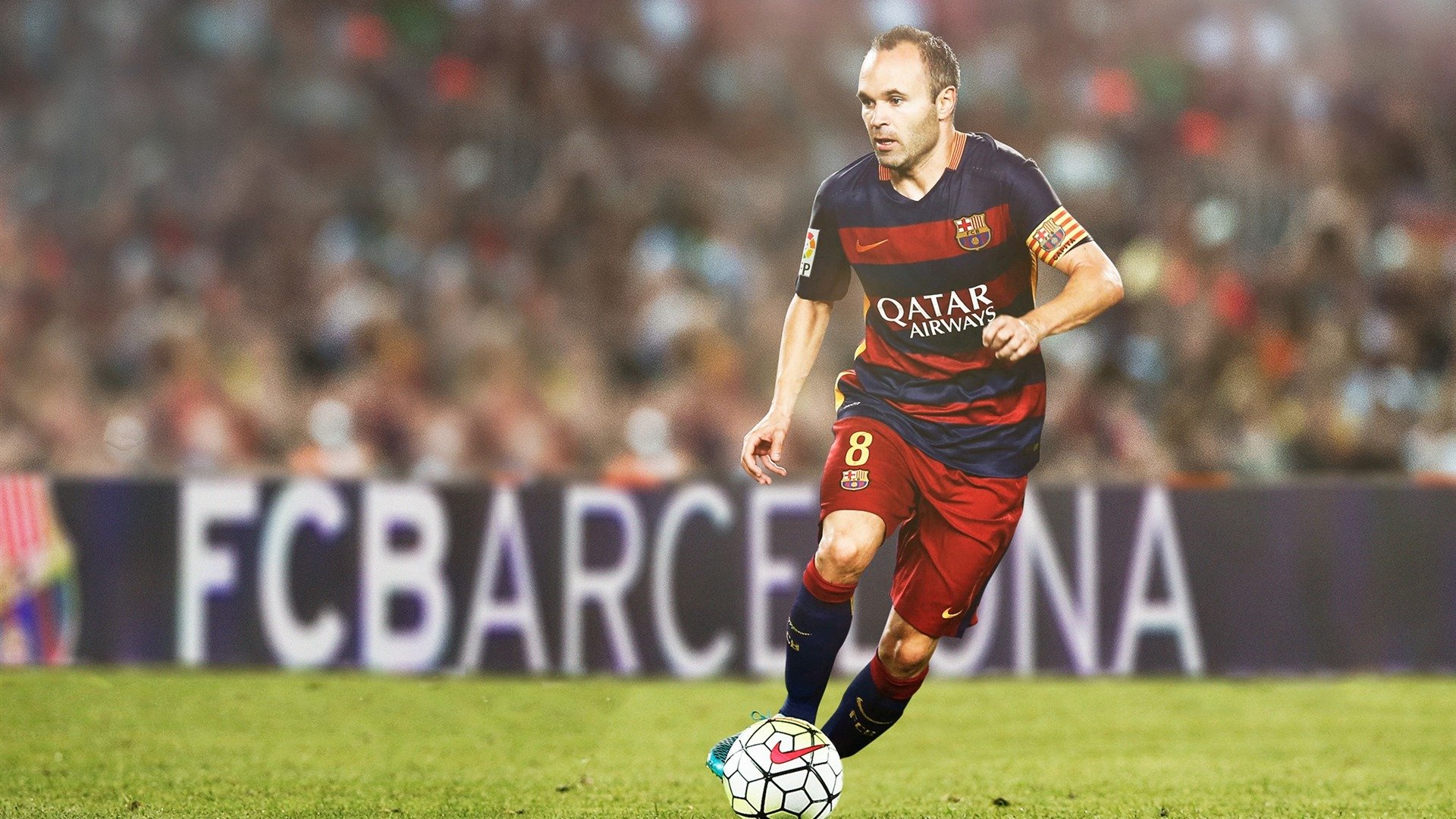 开云·体育官网-塔特的速度与突破为袋鼠队带来源源不断的进攻机会